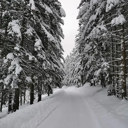 Panorama Gerlitzen * Treffen