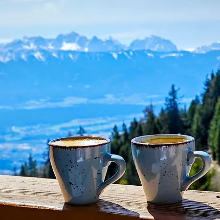 Panorama Gerlitzen Daire Treffen