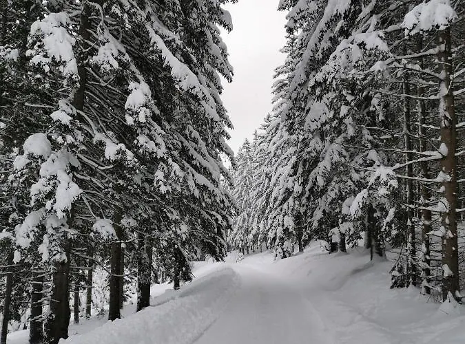 Panorama Gerlitzen * Treffen